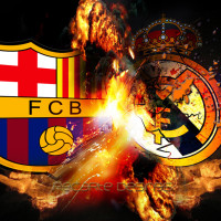 50吨植物油精炼设备