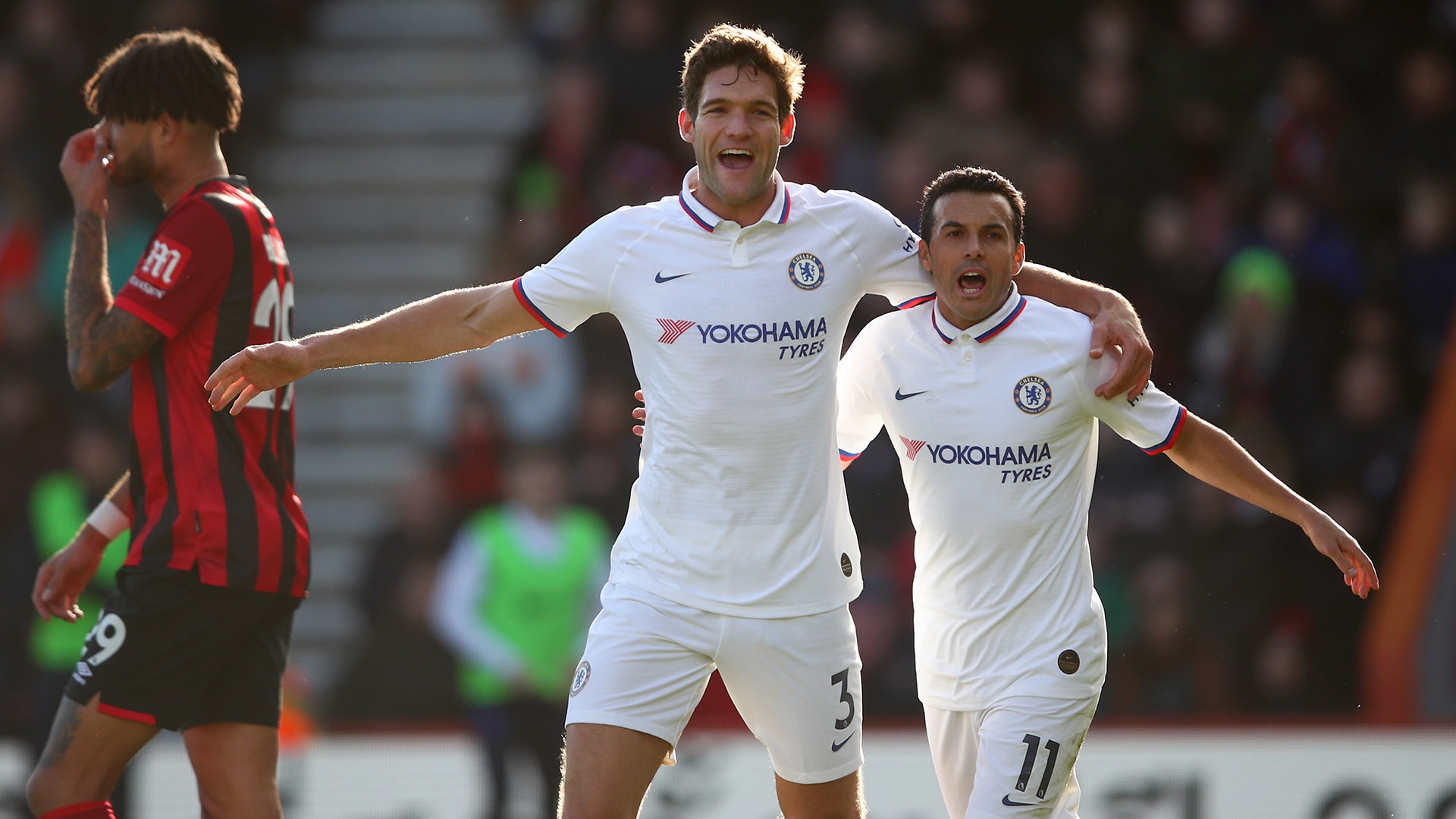 动物油脂精炼设备