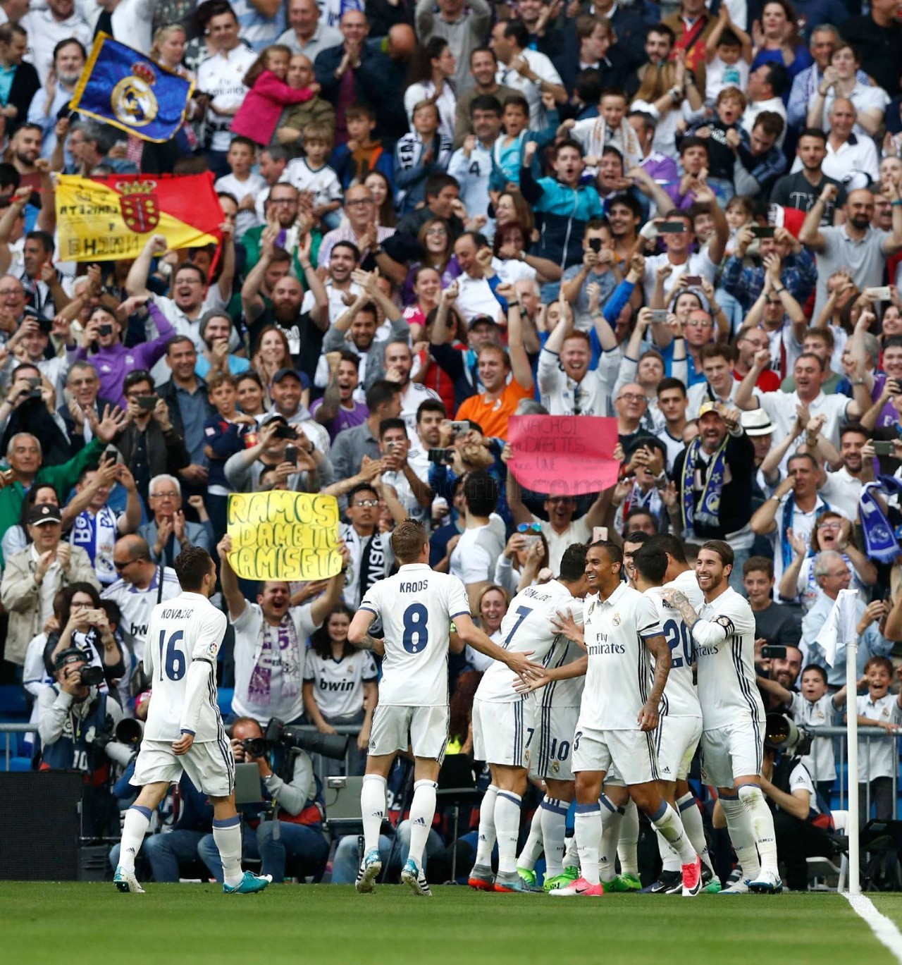 动物油脂精炼设备